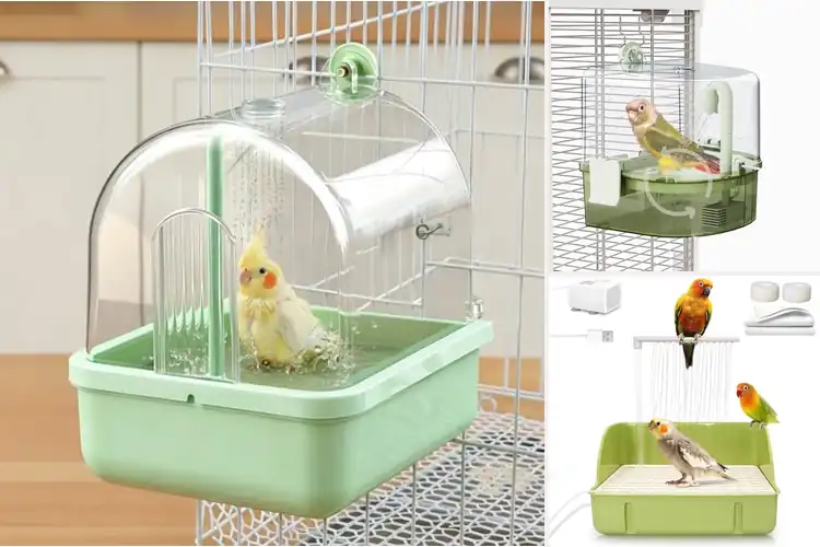Detailed view of Best Automatic Bird Bath For Cage Parakeet
