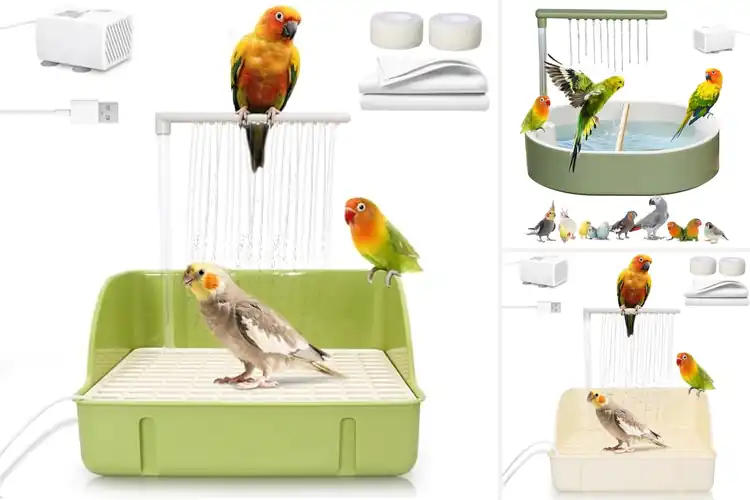 Detailed view of Best Automatic Bird Bath