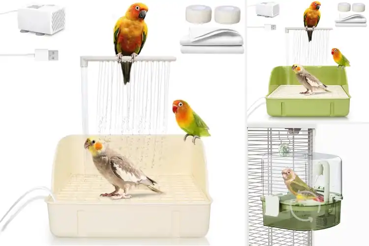 Detailed view of Best Automatic Bird Bath Pumps