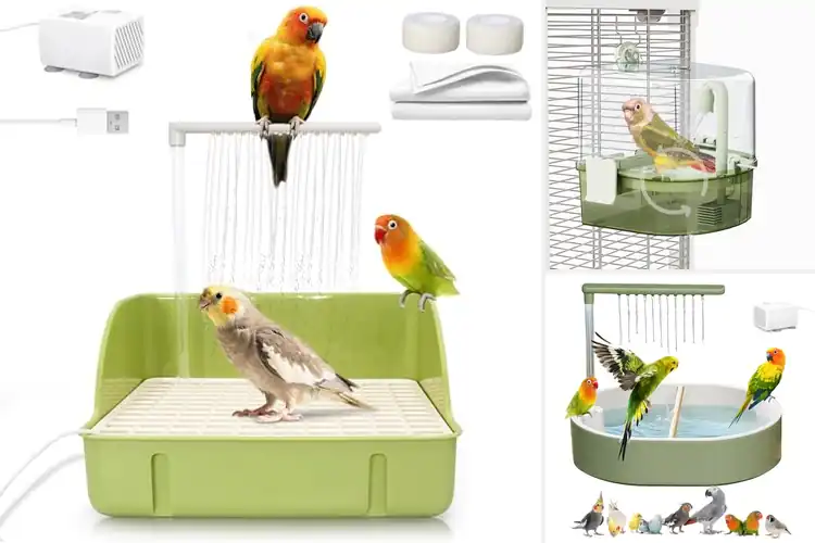 Detailed view of Best Automatic Bird Bath With Gentle Flow Pump