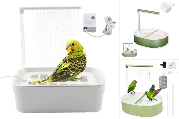 Detailed view of Best Automatic Bird Baths For Cage Parakeets