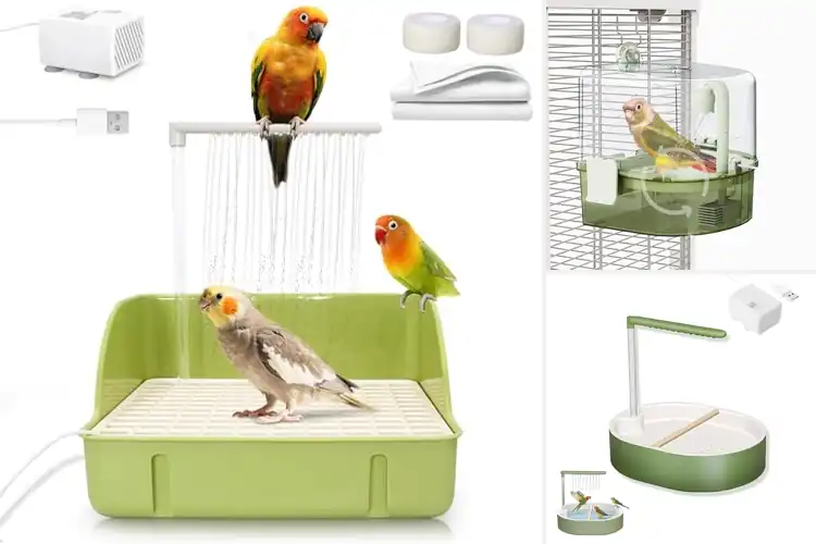 Detailed view of Best Automatic Bird Baths For Parakeets