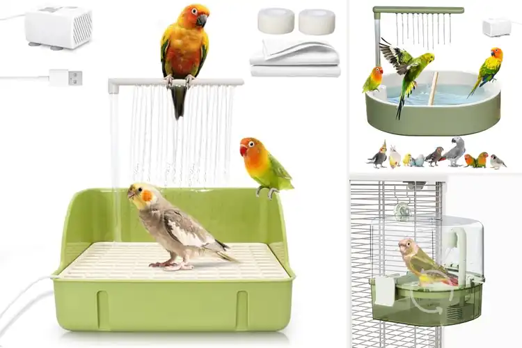 Detailed view of Best Automatic Bird Baths