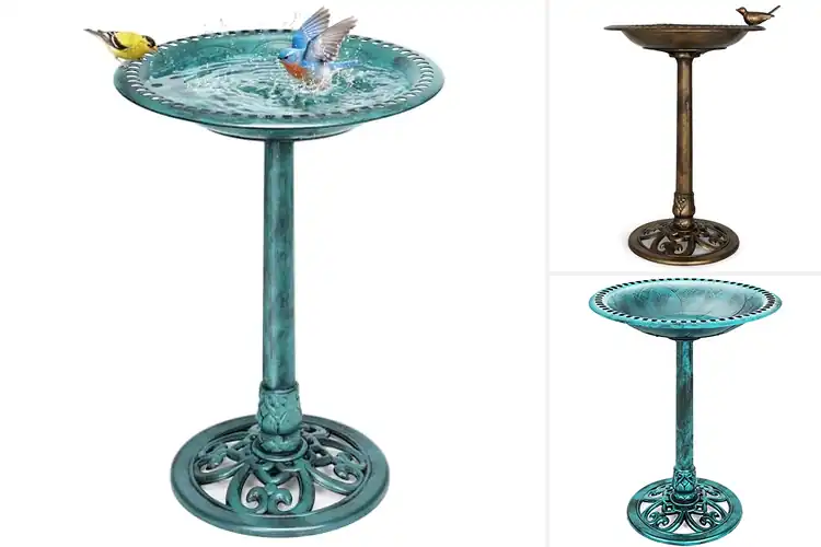 Detailed view of Best Backyard Bird Baths