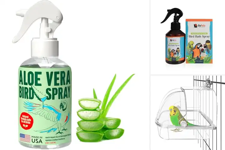 Detailed view of Best Baths For Bird Feather Health