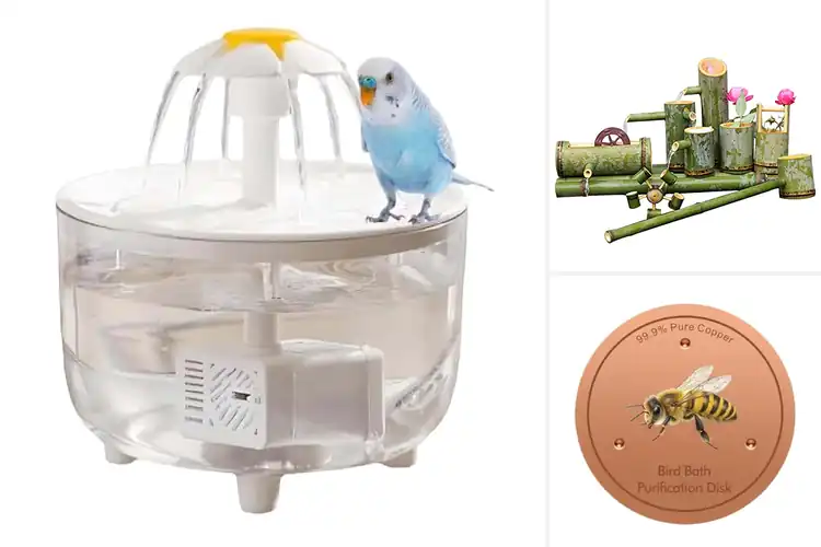 Detailed view of Best Bird Bath Filtration Systems: Keep Water Fresh & Clear