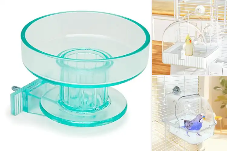 Detailed view of Best Bird Bath For Cage Parakeet Health
