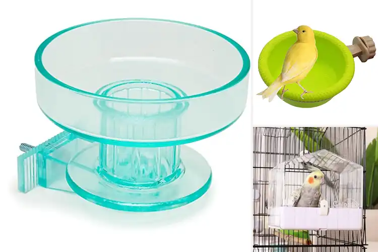 Detailed view of Best Bird Bath For Finches And Parrots