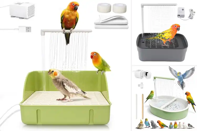 Detailed view of Best Bird Bath Showers: Refreshing Picks for Happy Birds