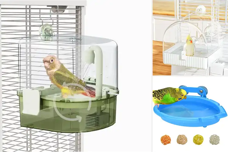 Detailed view of Best Bird Baths for Cage Parakeets