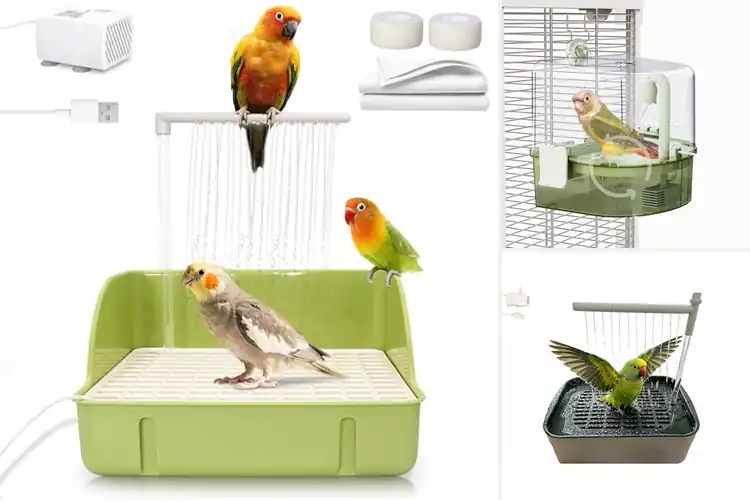 Detailed view of Best Bird Baths For Cage With Pump