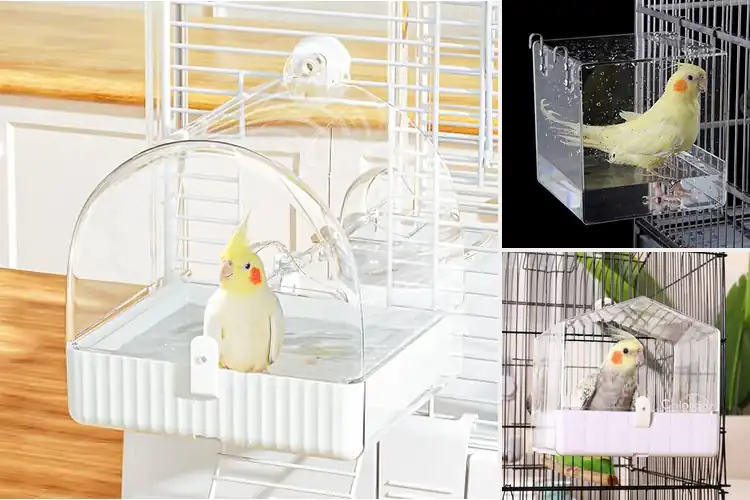 Detailed view of Best Bird Baths For Cages: Top 10 Picks for Happy Birds