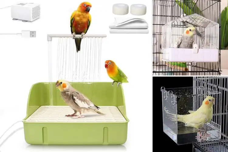 Detailed view of Best Bird Baths For Cockatiels