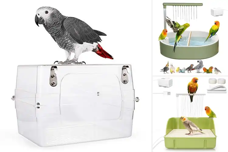 Detailed view of Best Bird Baths For Cockatoos: Keep Your Pet Happy & Fresh