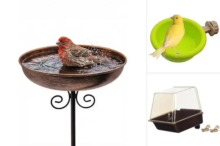 Detailed view of Best Bird Baths For Finches: Happy, Healthy Birds Guaranteed
