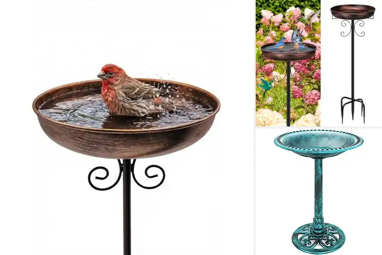 Detailed view of Best Bird Baths For Garden: Boost Beauty & Invite More Birds