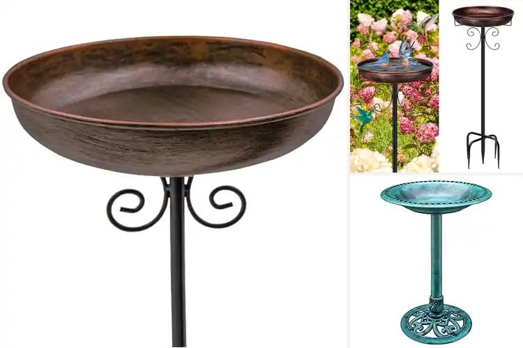Detailed view of Best Bird Baths For Gardens
