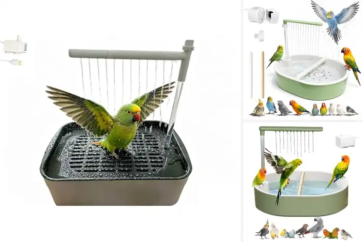 Detailed view of Best Bird Baths for Indoor Parrots