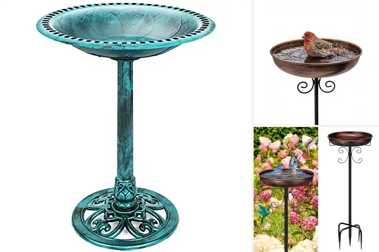 Detailed view of Best Bird Baths for Outdoor Gardens