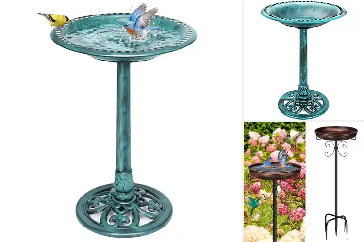 Detailed view of Best Bird Baths Outdoor