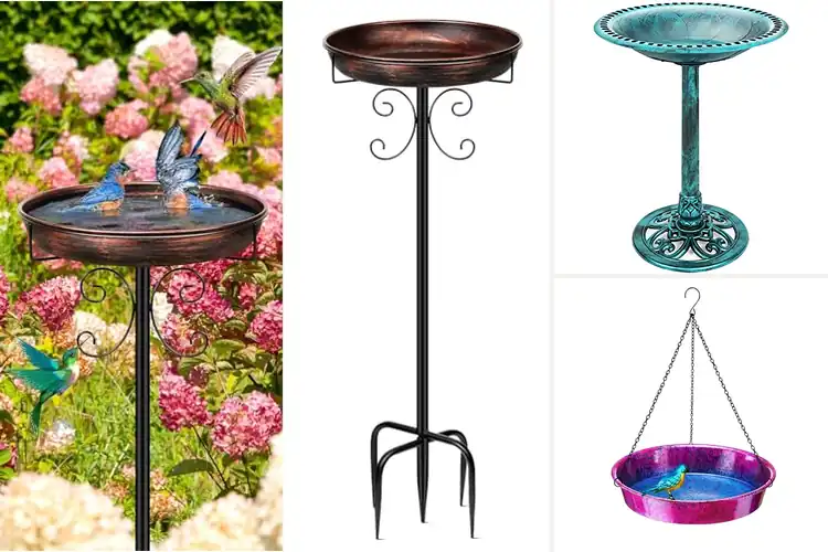 Detailed view of Best Bird Baths