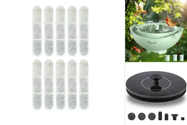 Detailed view of Best Bird Baths with Filters