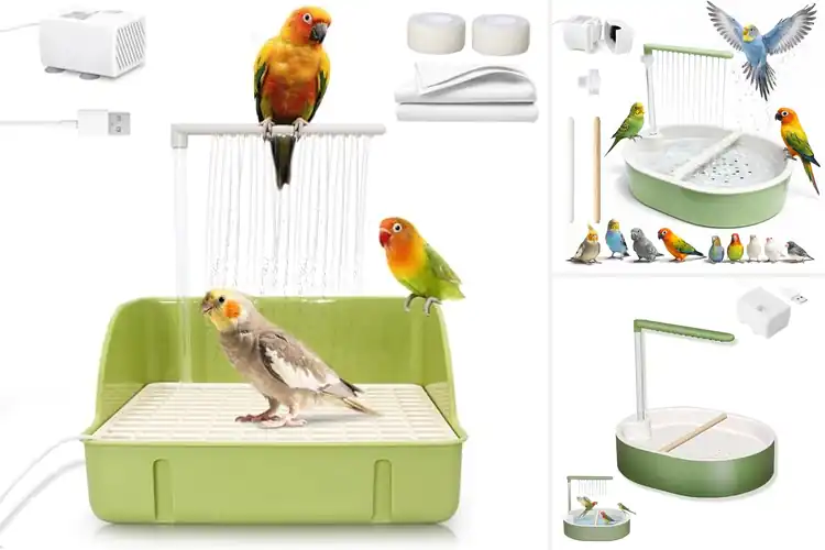 Detailed view of Best Bird Baths With Pump For Indoor Parrots