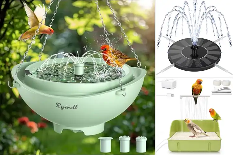 Detailed view of Best Bird Baths With Running Water