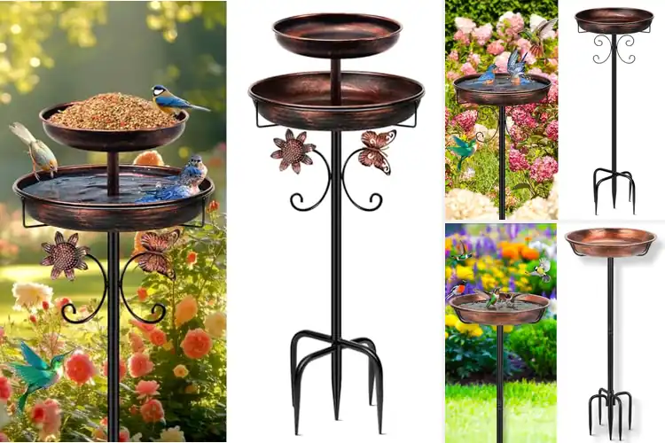 Detailed view of Best Bird Baths With Stable Bases