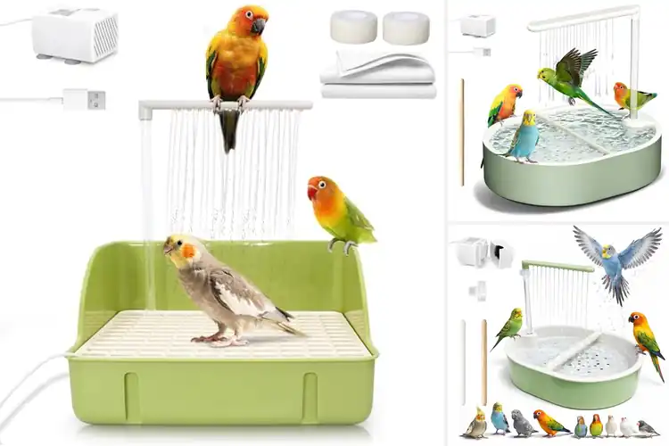 Detailed view of Best Bird Baths With Water Pump For Parrots