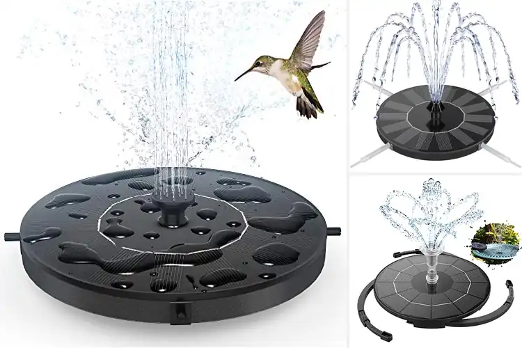 Detailed view of Best Bird Baths with Water Pumps