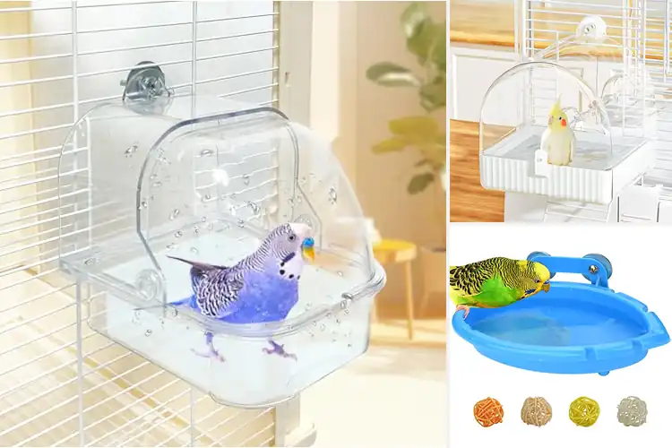 Detailed view of Best Bird Cage Baths: Top 10 Picks for Happy, Clean Birds