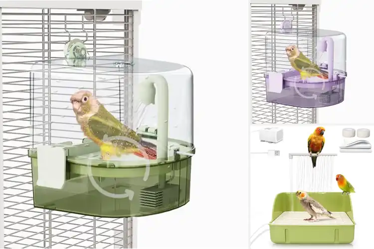 Detailed view of Best Bird Cage Showers: Top Picks for Happy, Clean Birds