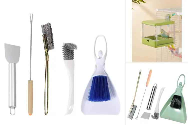 Detailed view of Best Bird Care Accessories