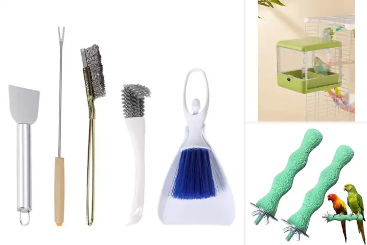 Detailed view of Best Bird Care Accessory