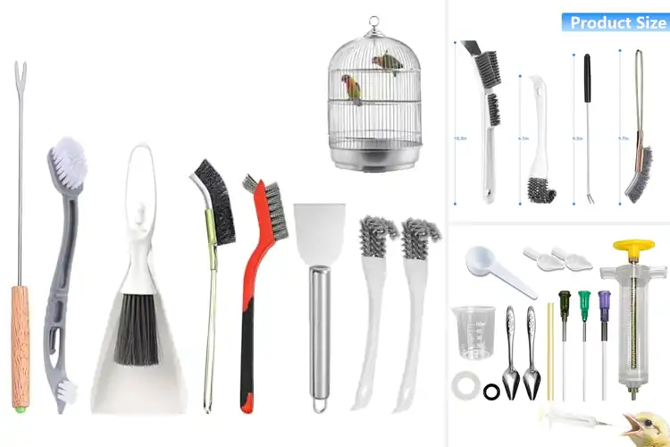 Detailed view of Best Bird Care Tools