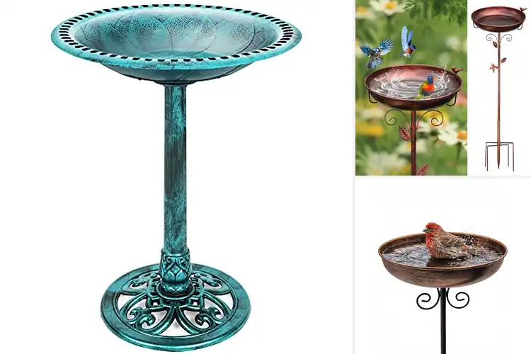 Detailed view of Best Bird-Friendly Bird Baths