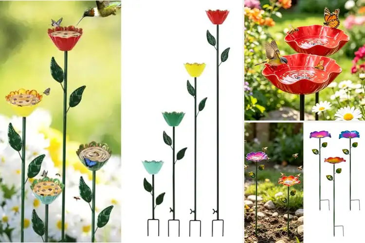 Detailed view of Best Bird-Friendly Drinking Stations