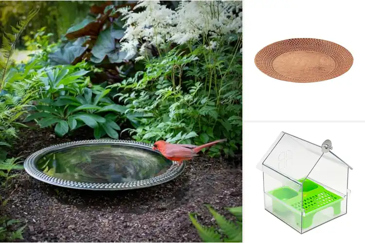 Detailed view of Best Bird-Friendly Rim Design