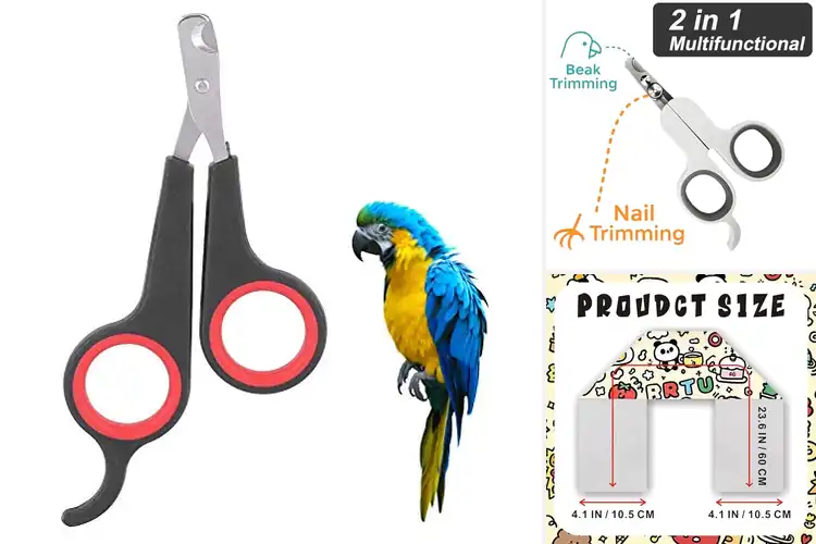 Detailed view of Best Bird Grooming Accessories: 10 Must-Have Tools