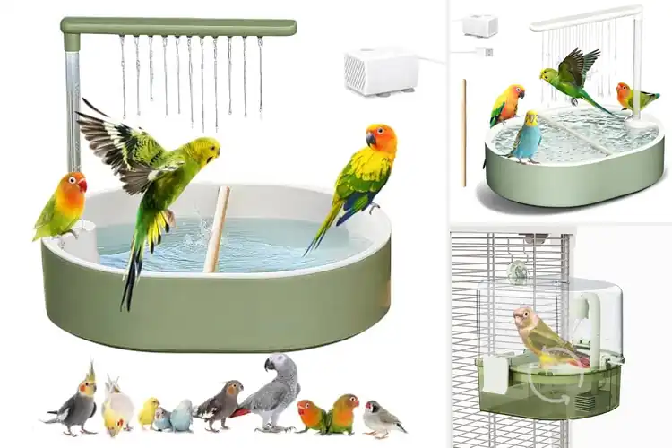 Detailed view of Best Bird Shower Baths for Happy, Clean Birds