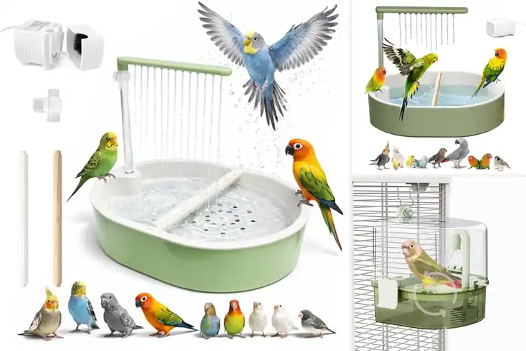 Detailed view of Best Bird Shower Systems: Top Picks for Happy, Clean Birds