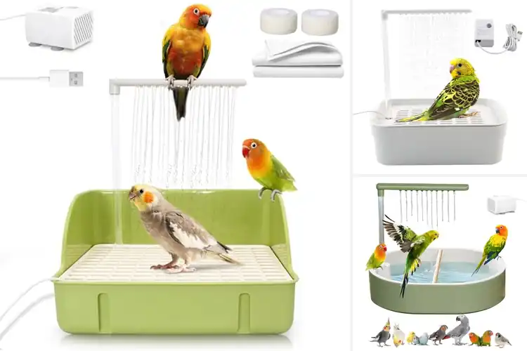 Detailed view of Best Bird Showers: Top 10 Picks for Happy, Clean Birds