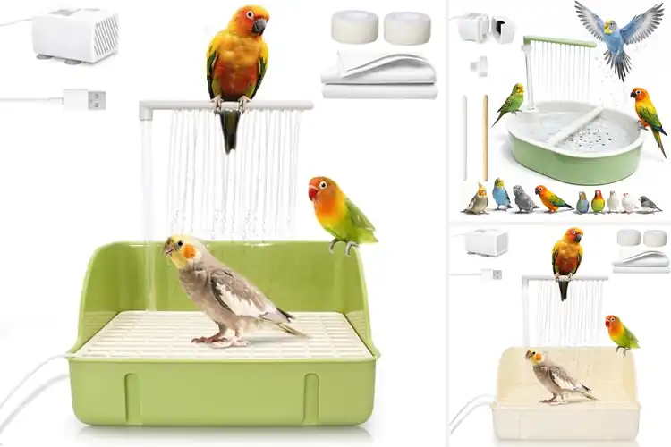 Detailed view of Best Bird Showers With Pump: Top Quiet Smooth Water