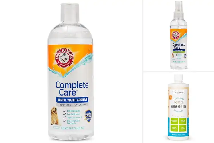 Detailed view of Best Breath Fresheners For Dogs: 10 Safe & Effective Options