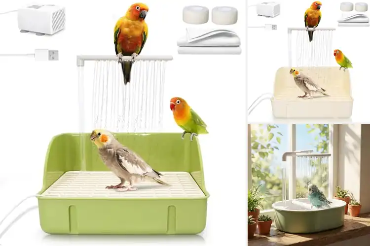 Detailed view of Best Cage Bird Showers