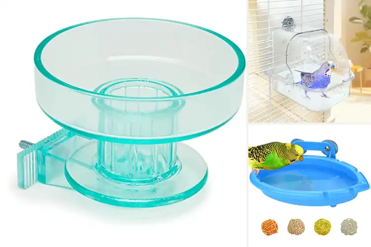 Detailed view of Best Cage Mounted Bath