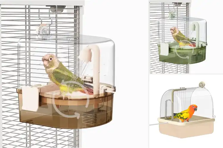Detailed view of Best Cage Parakeet Bath System: Top 10 Picks for Happy Birds