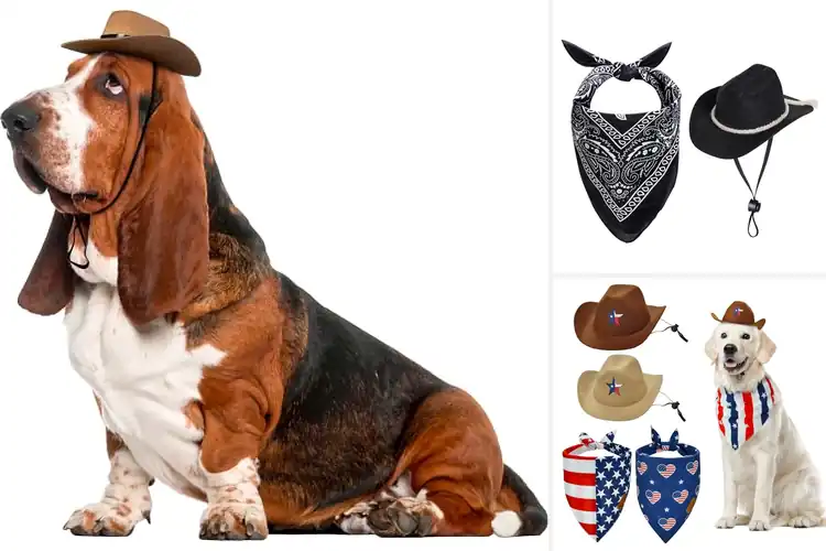 Detailed view of Best Cowboy Hats For Dogs: Fun & Stylish Pet Accessories