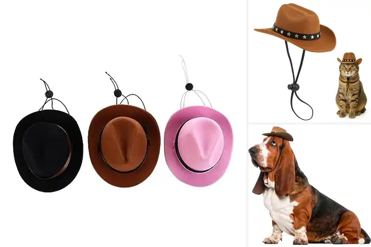 Detailed view of Best Cowboy Hats For Pets